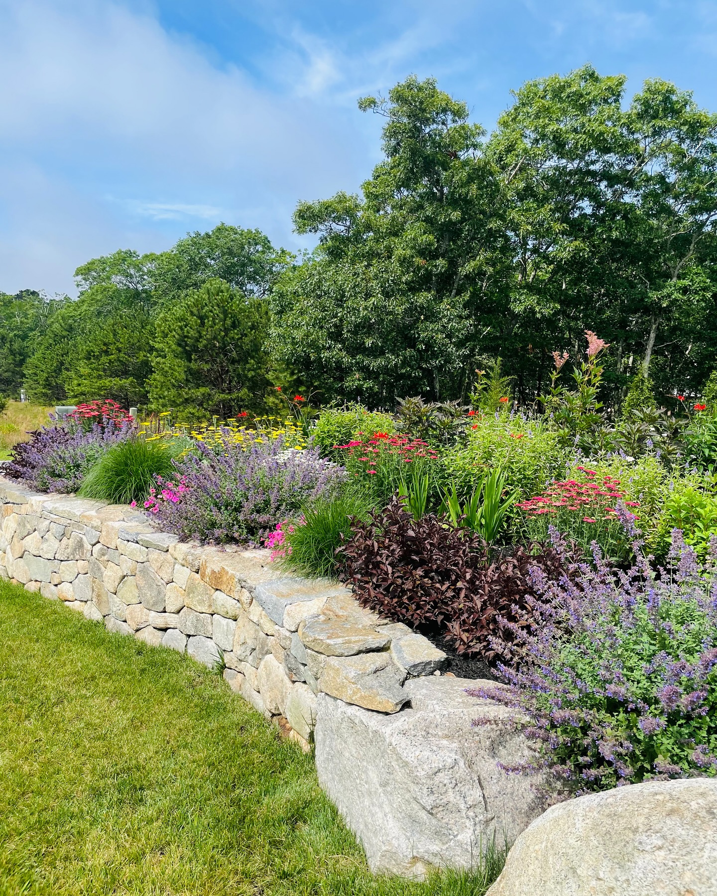 Vibrant flower beds